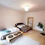 Krizkov Dom Apartment