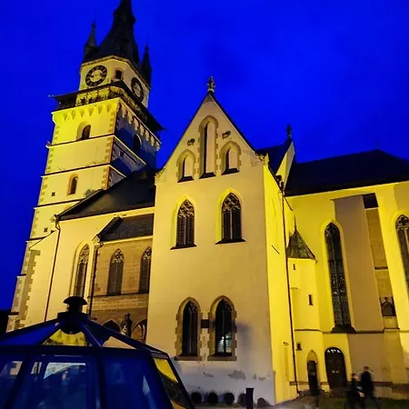 公寓 Krizkov Dom 克雷姆尼察