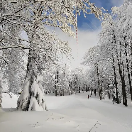 Krizkov Dom Kremnica