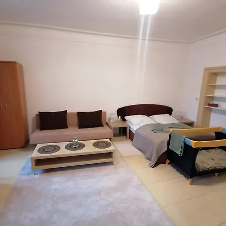 Krizkov Dom Apartment *