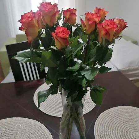 Krizkov Dom Appartement *