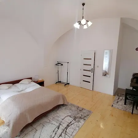 Apartment Krizkov Dom